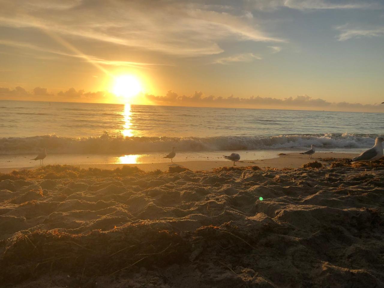 The 925 Ocean Boutique Hotel Deerfield Beach Esterno foto